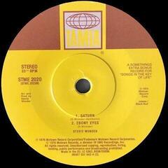Hanglemez Stevie Wonder - Songs In The Key Of Life (2 LP+ 7" Vinyl) - 6