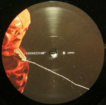Disco de vinil Datarock - Face The Brutality (LP) - 3