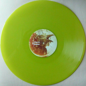 Disco de vinilo Evergrey - The Atlantic (Yellow Coloured) (2 LP) - 6