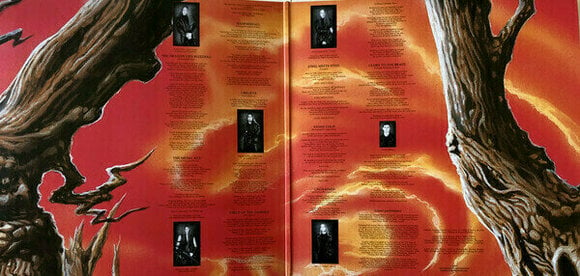 Płyta winylowa Hammerfall - Glory To The Brave (Limited Edition) (LP) - 3