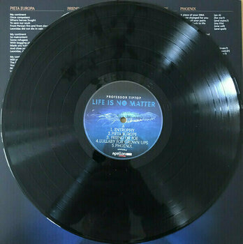 Vinyl Record Professor Tip Top - Life Is No Matter (LP) - 2
