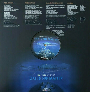 Disco de vinilo Professor Tip Top - Life Is No Matter (LP) - 6