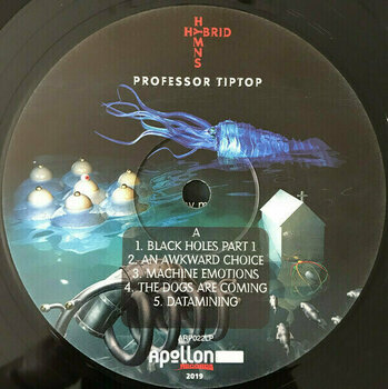 Vinylskiva Professor Tip Top - Hybrid Hymns (LP) - 3