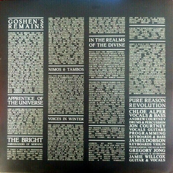 Schallplatte Pure Reason Revolution - The Dark Third (2 LP) - 4