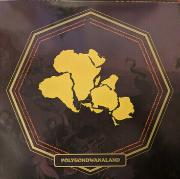 Disc de vinil King Gizzard - Polygondwanaland (King Gizzard & The Lizard Wizard) (LP) - 4