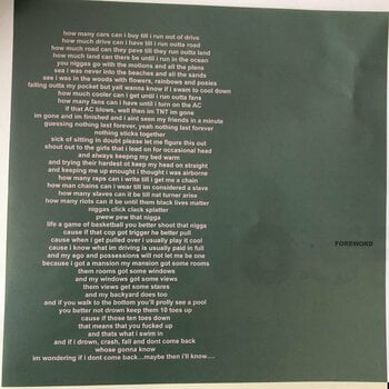 Hanglemez Tyler The Creator Scum Fuck Flower Boy (Gatefold Sleeve) (2 LP) - 8