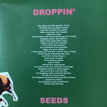 Disque vinyle Tyler The Creator Scum Fuck Flower Boy (Gatefold Sleeve) (2 LP) - 18