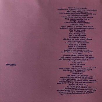 LP ploča Tyler The Creator Scum Fuck Flower Boy (Gatefold Sleeve) (2 LP) - 19