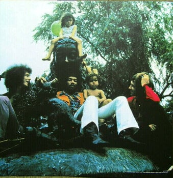 Vinyl Record Jimi Hendrix Electric Ladyland (2 LP) - 17