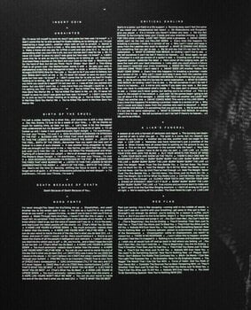 Schallplatte Slipknot - We Are Not Your Kind (LP) - 3