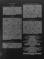 Schallplatte Slipknot - We Are Not Your Kind (LP) - 3