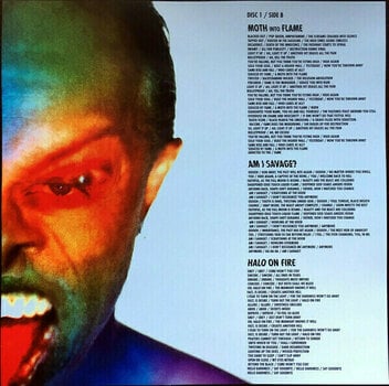 Vinylplade Metallica - Hardwired...To Self-Destruct (Red Vinyl) (LP) - 15