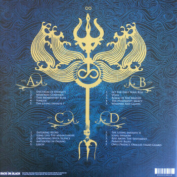 Disc de vinil Soilwork - The Living Infinite (Limited Edition) (2 LP) - 6