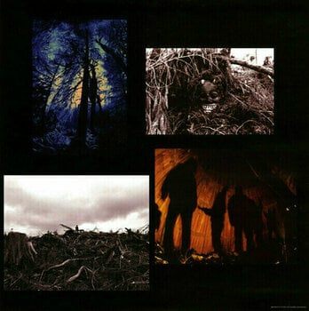 Грамофонна плоча Pearl Jam Vs. (LP) - 5