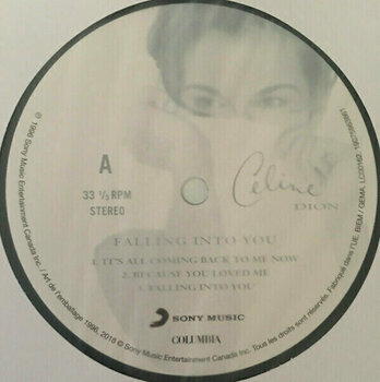 Vinyl Record Celine Dion Falling Into You (2 LP) - 3