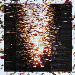 Schallplatte Prince - Purple Rain (with The Revolution) (LP) - 5
