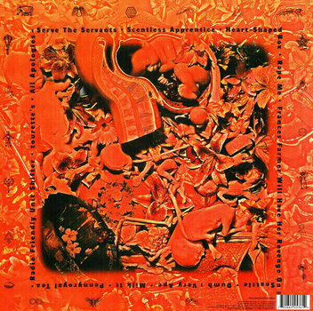 LP Nirvana - In Utero (LP) - 10