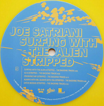 Vinyl Record Joe Satriani Surfing With the Alien - 13
