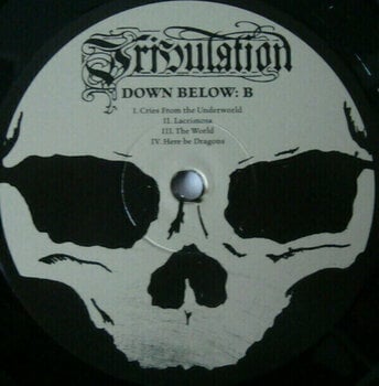 Vinyl Record Tribulation Down Below (Gatefold Sleeve) (Vinyl LP) - 5