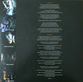 Vinyylilevy Arena - Double Vision (Gold Vinyl) (2 LP) - 4