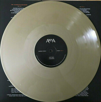 Vinyylilevy Arena - Double Vision (Gold Vinyl) (2 LP) - 10