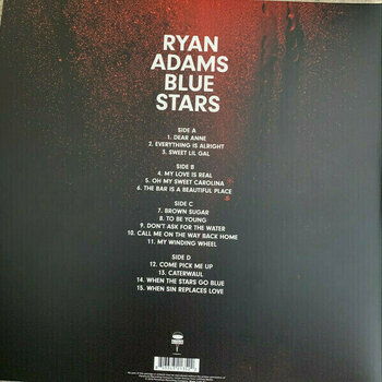 Vinyl Record Ryan Adams - Blue Stars (2 LP) - 3