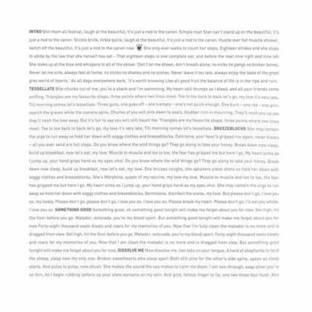 Vinyylilevy alt-J - An Awesome Wave (LP) - 4