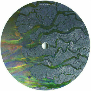 Vinyylilevy alt-J - An Awesome Wave (LP) - 6