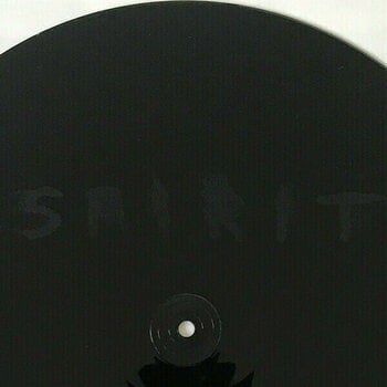 Vinyl Record Depeche Mode Spirit (Gatefold Sleeve) (2 LP) - 8
