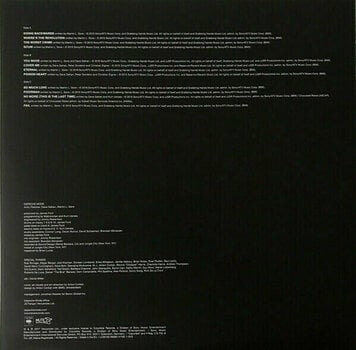 Vinylskiva Depeche Mode Spirit (Gatefold Sleeve) (2 LP) - 10