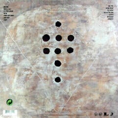 Vinyl Record Foo Fighters - Foo Fighters (LP) - 4