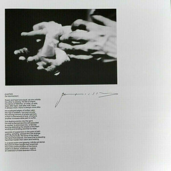 Vinyylilevy Patti Smith - Easter (LP) - 5
