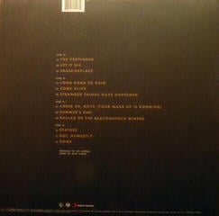 Vinyl Record Foo Fighters - Echoes, Silence, Patience & Grace (2 LP) - 6