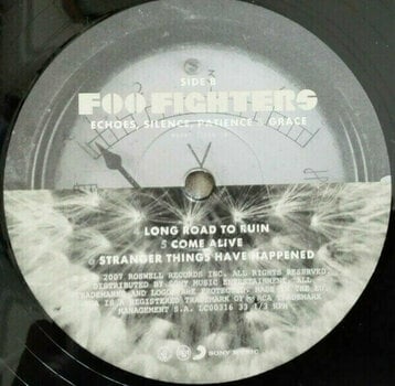 Vinyl Record Foo Fighters Echoes, Silence, Patience & Grace (2 LP) - 6