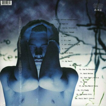 Vinyl Record Eminem - The Slim Shady (2 LP) - 6