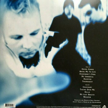 Hanglemez Evanescence - Fallen (LP) - 2