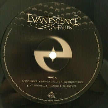 Vinyl Record Evanescence - Fallen (LP) - 4