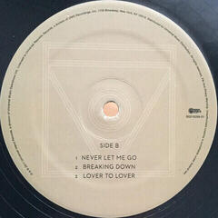 Vinylskiva Florence and the Machine - Ceremonials (2 LP) - 3