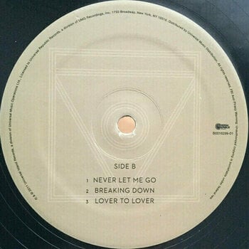 Disque vinyle Florence and the Machine - Ceremonials (2 LP) - 3