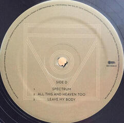 Vinylskiva Florence and the Machine - Ceremonials (2 LP) - 5