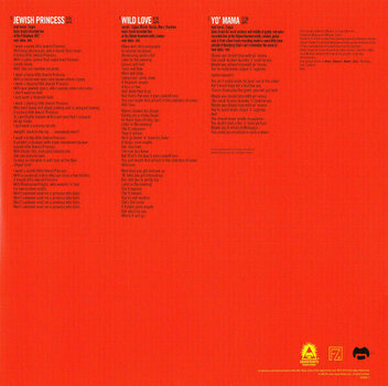 Vinyl Record Frank Zappa - Sheik Yerbouti (2 LP) - 10