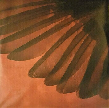 Vinylskiva Scorpions - Born To Touch Your Feelings - Best of Rock Ballads (Gatefold Sleeve) (2 LP) - 10