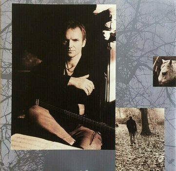 Hanglemez Sting - Mercury Falling (LP) - 3