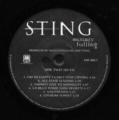 Vinyl Record Sting - Mercury Falling (LP) - 5