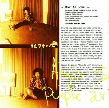 Muzyczne CD The Jimi Hendrix Experience - Experience Hendrix: The Best Of (CD) - 15