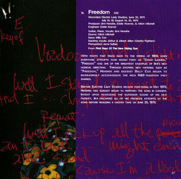 Glasbene CD The Jimi Hendrix Experience - Experience Hendrix: The Best Of (CD) - 18