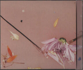 Glasbene CD Harry Styles - Harry Styles (Digipak CD) - 3