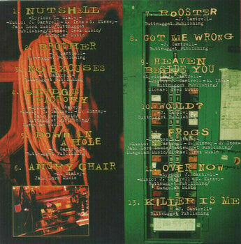 Hudobné CD Alice in Chains - MTV Unplugged (CD) - 3