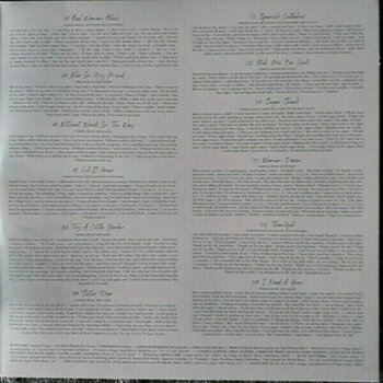 Disco in vinile Beth Hart - War In My Mind (Gatefold Sleeve) (2 LP) - 4