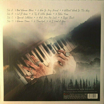 Disque vinyle Beth Hart - War In My Mind (Gatefold Sleeve) (2 LP) - 5